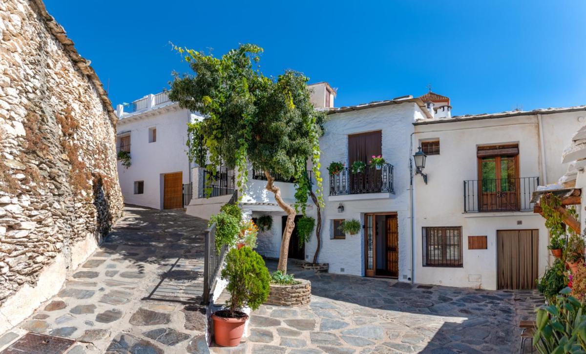 Casa Antonia Capileira La Alpujarra Apartment Екстериор снимка