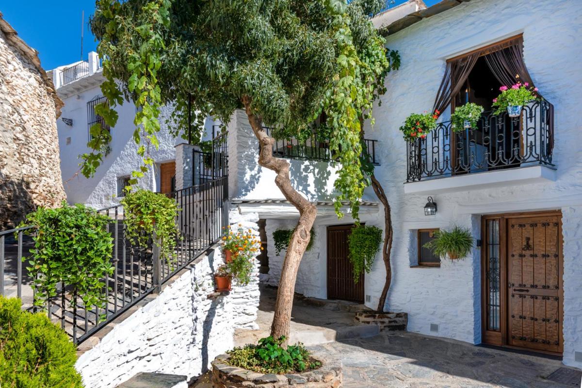 Casa Antonia Capileira La Alpujarra Apartment Екстериор снимка