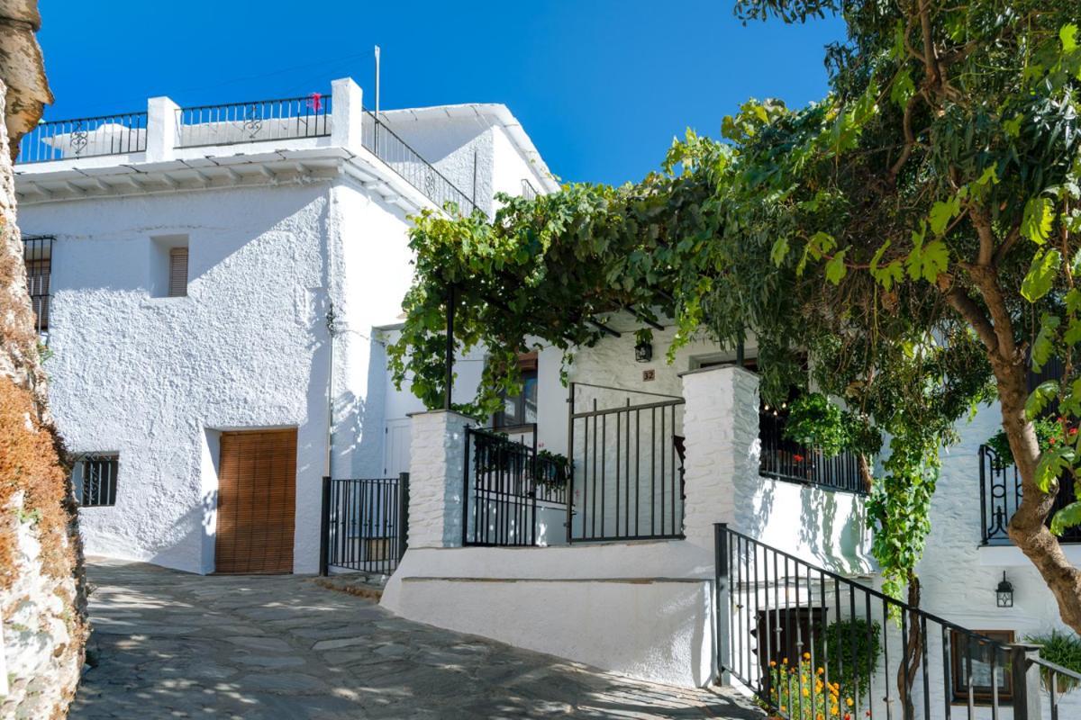 Casa Antonia Capileira La Alpujarra Apartment Екстериор снимка